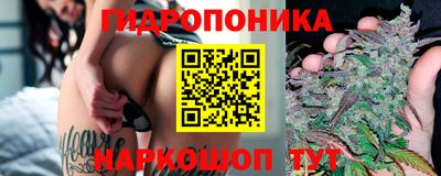 метадон Гусь-Хрустальный